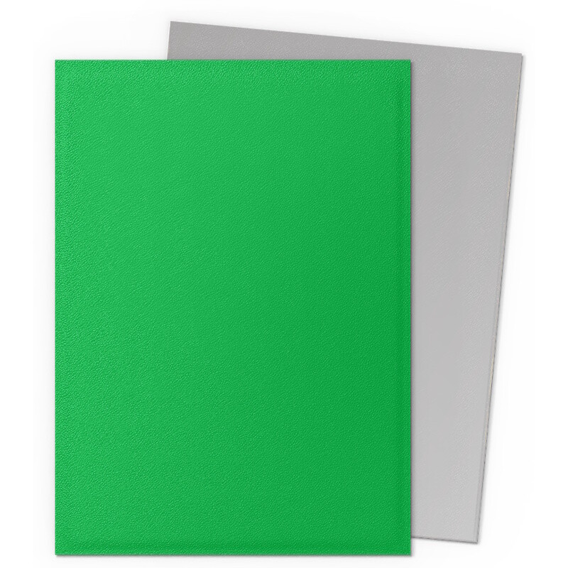 Protège Cartes - Dragon Shield : DS100 – DUAL MATTE - (STD x100) - Apple Green & Silver – Image 2