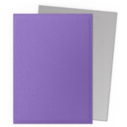 Protège Cartes – Dragon Shield : DS100 – DUAL MATTE – (STD x100) – Nebula & Silver
