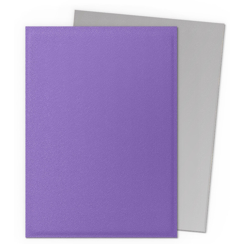 Protège Cartes - Dragon Shield : DS100 – DUAL MATTE - (STD x100) - Nebula & Silver – Image 2