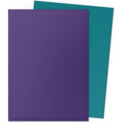 Protège Cartes – Dragon Shield : DS100 – DUAL MATTE – (STD x100) – Soul & Petrol