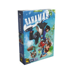 BAHAMAS BRAQUAGE DE HAUT VOL