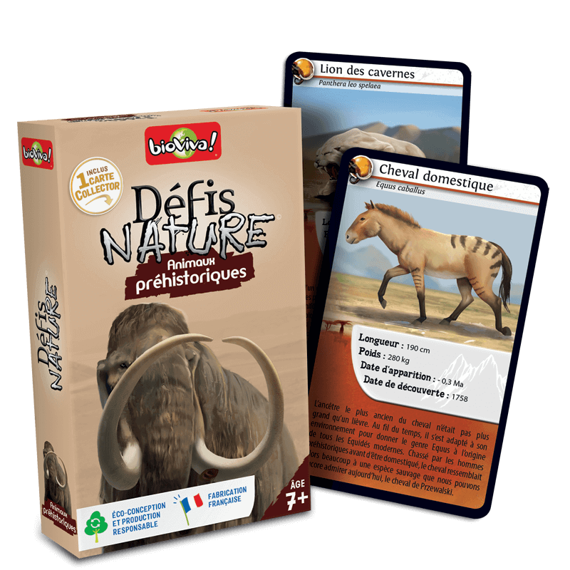 Défis Nature : Animaux Préhistoriques