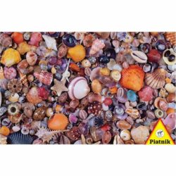 Puzzle Piatnik – 1000pc – Coquillages