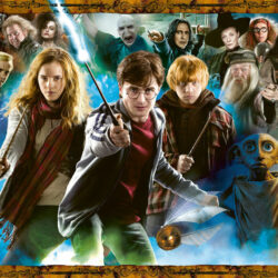 RAVENSBURGER – Puzzle -1000p : Harry Potter et les Sorciers
