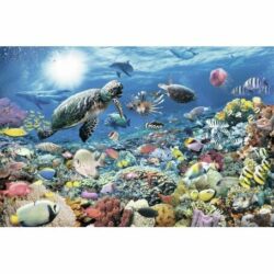 RAVENSBURGER – Puzzle -5000p : Monde Marin