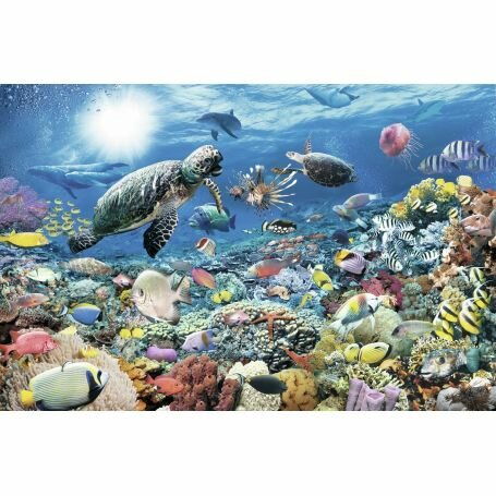 RAVENSBURGER - Puzzle -5000p : Monde Marin – Image 2