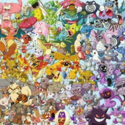 RAVENSBURGER – Puzzle – 1000p : Pokemon (Challenge Puzzle)