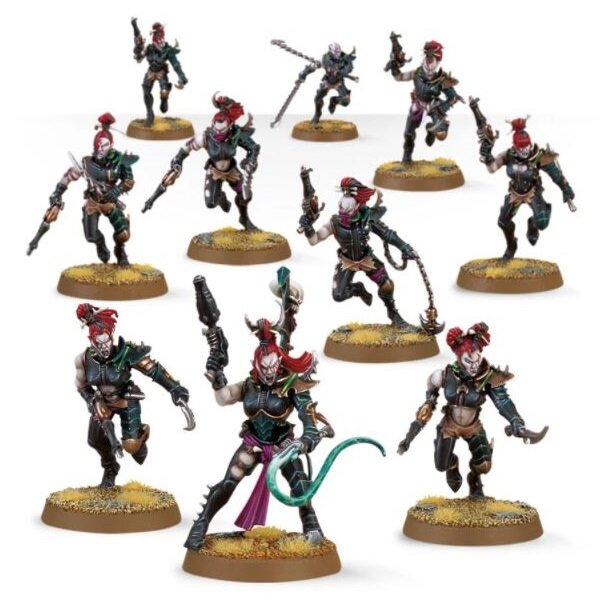 W40K - Drukhari - Wyches (Cérastes) (45-08)