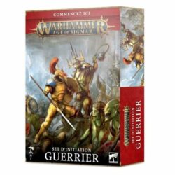 Warhammer AOS – Set d’initiation : Guerrier (80-15)