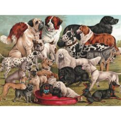 New-York – Puzzle 1000p – Dog Breeds