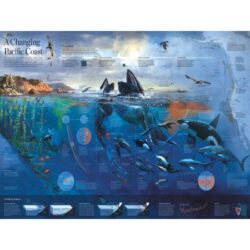 New-York – Puzzle 1000p – National Geographic Pacific Coast