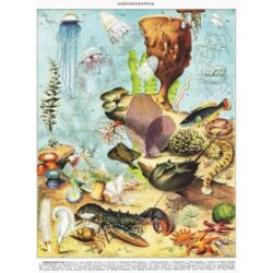 New-York – Puzzle 1000p – Vintage Images – Ocèanographie