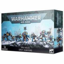 W40K – Space Marines – Space Wolves – Chasseurs gris / Grey hunters [53-06]