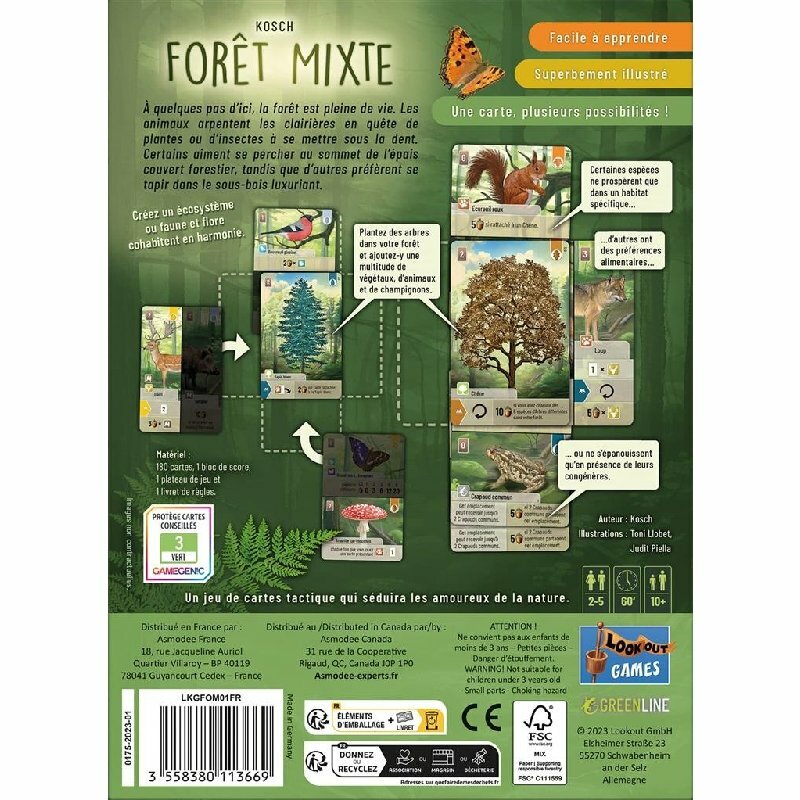 Forêt Mixte – Image 3