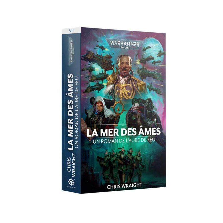 ROMAN - LA MER DES ÂMES (FRANCAIS)