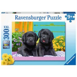 RAVENSBURGER – Puzzle – 300p : Labradors noirs