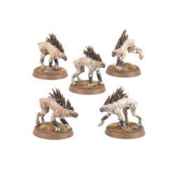 W40K – Tau Empire – Kroot Hounds / Chiens Kroots 2024 [56-58]