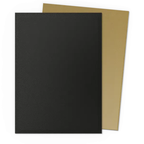 Protège Cartes - Dragon Shield : DS100 – DUAL MATTE - (STD x100) - Black & Gold – Image 2