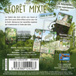 Forêt Mixte : Lisière de forêt / Woodland Edge (Ext)