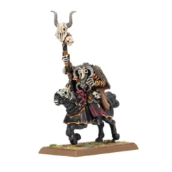THE OLD WORLD – Chaos : Sorcier sur Destrier (Sorcerer of chaos on chaos steed)